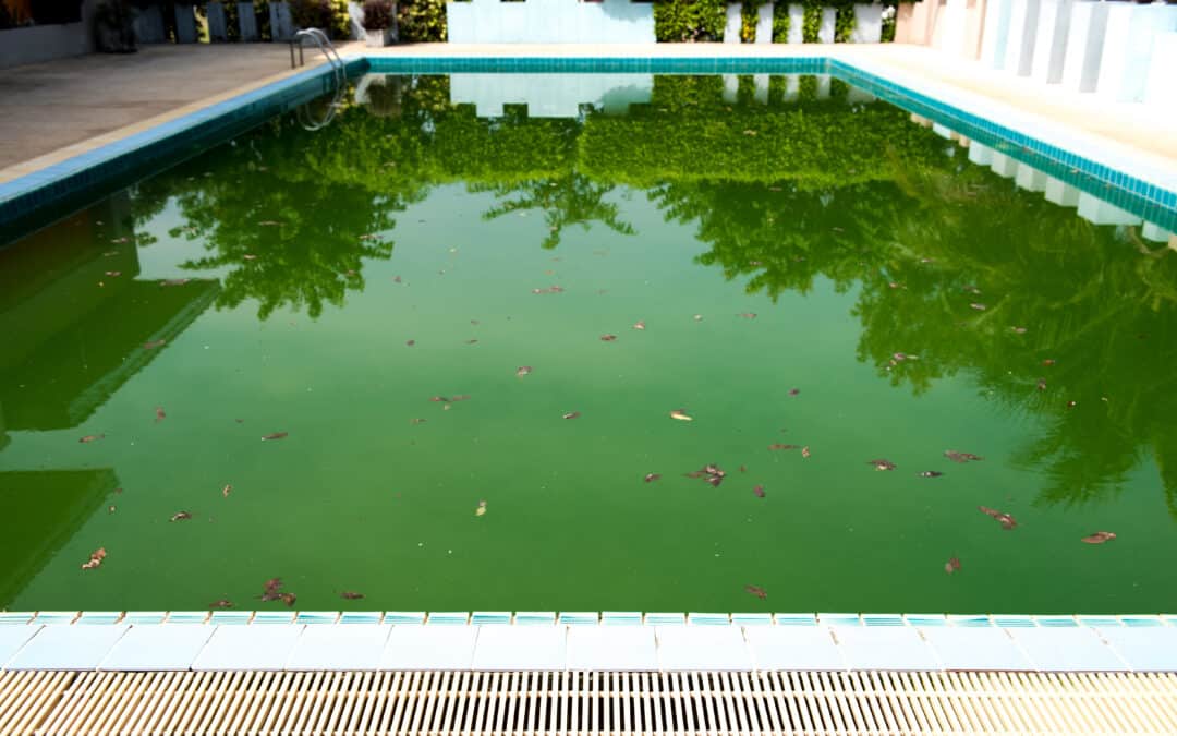 Pool Cleaning Tips from the Pros